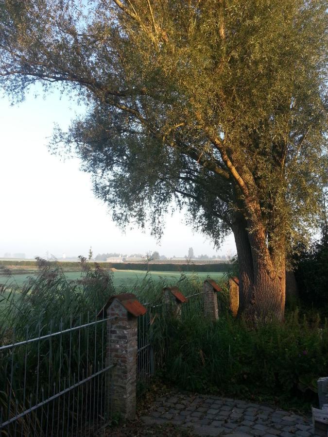 وفلجم B&B Col Del Vino المظهر الخارجي الصورة